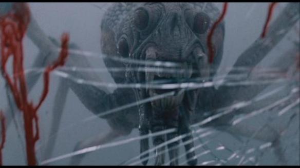 the mist spider pic 7